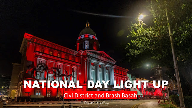 National Day LightUp : Civic District and Brash Basah