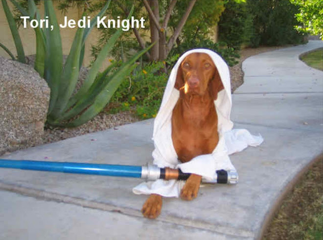 Jedi Knight Tori
