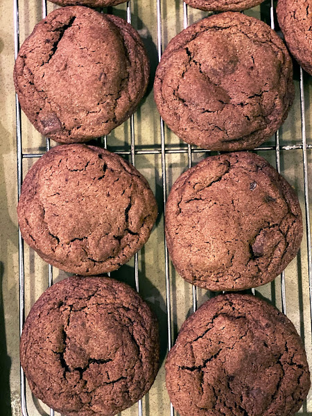 Recipe for Chewy Chocolate Cookies by freshfromthe.com