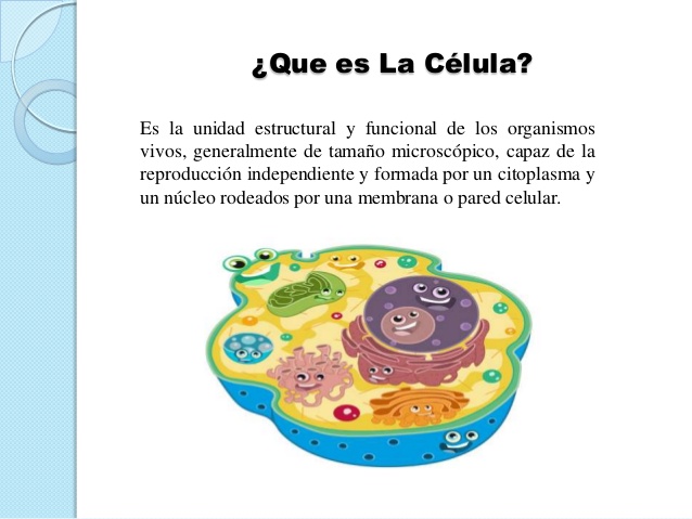 Definición de célula