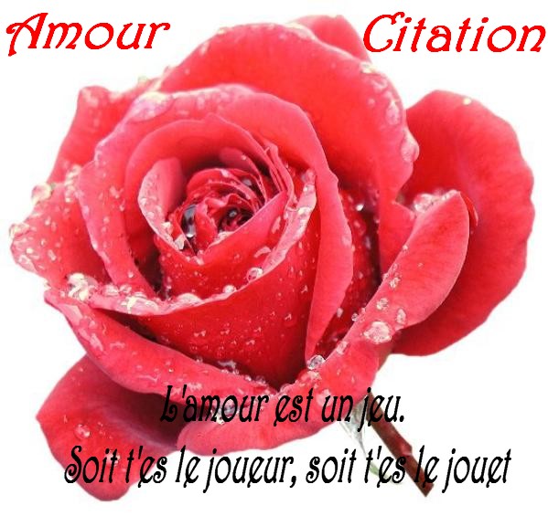 citations d