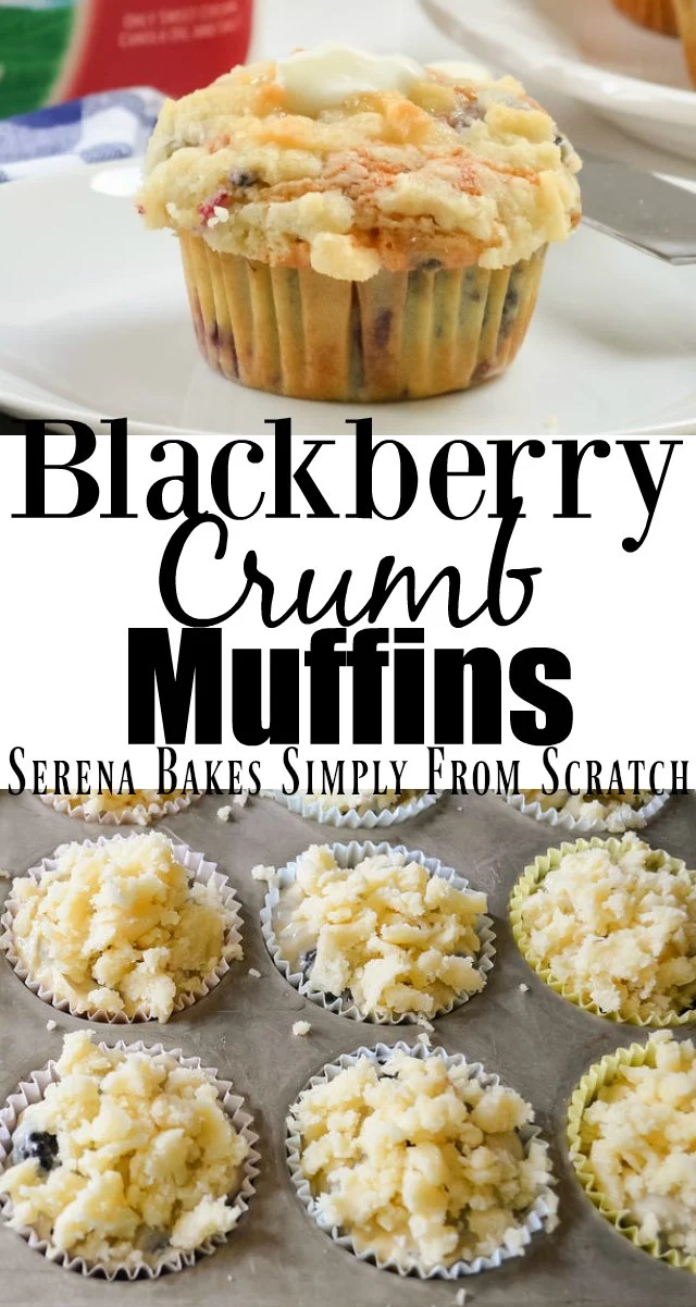 Blackberry Crumb Muffins recipe are the best of a blackberry muffin with a sweet coffee cake crumb from Serena Bakes Simply From Scratch.
