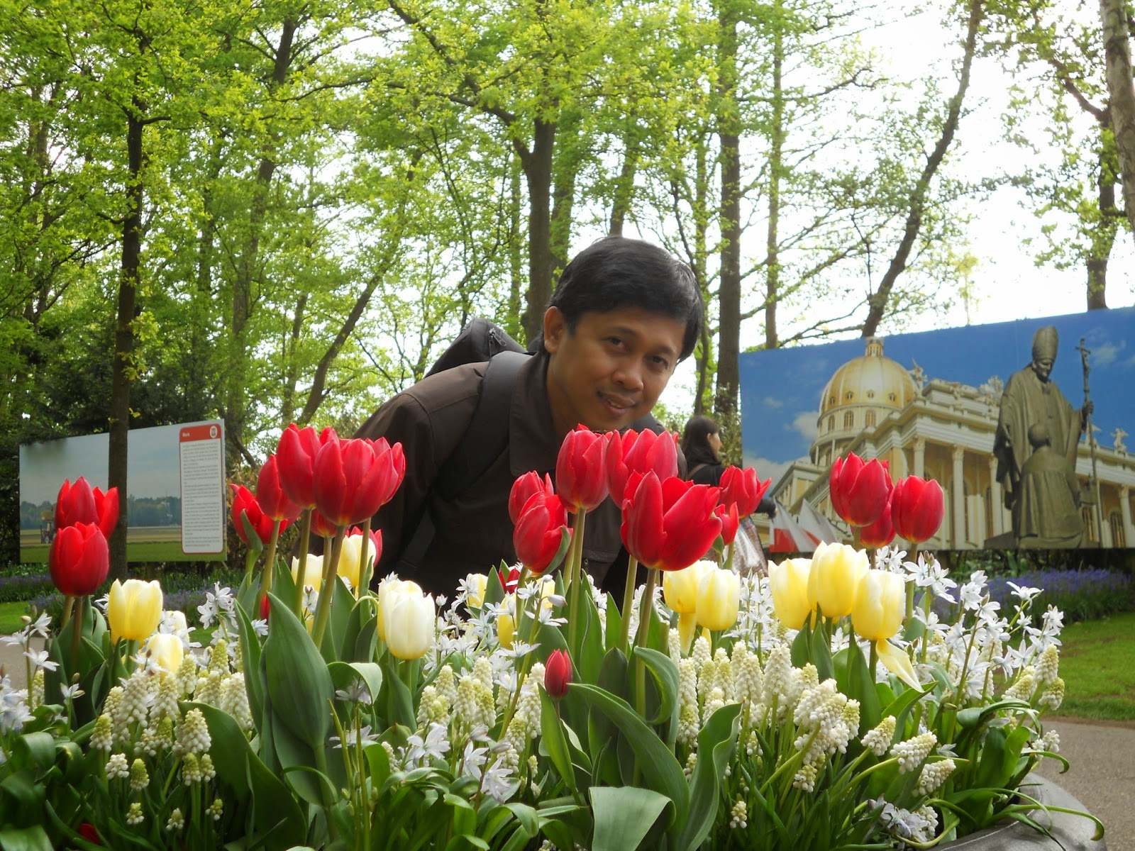 Paling Bagus 14 Gambar  Bunga  Tulip Yang Sedang  Mekar 