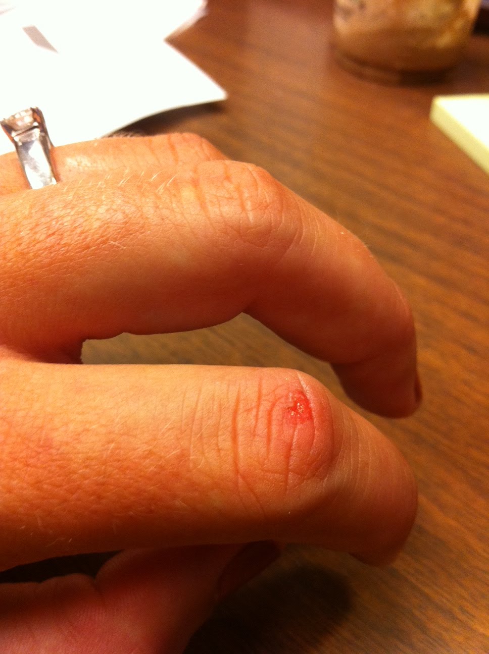 Busted Knuckles-1999 Chevy 3500: Cochon - Design Corral