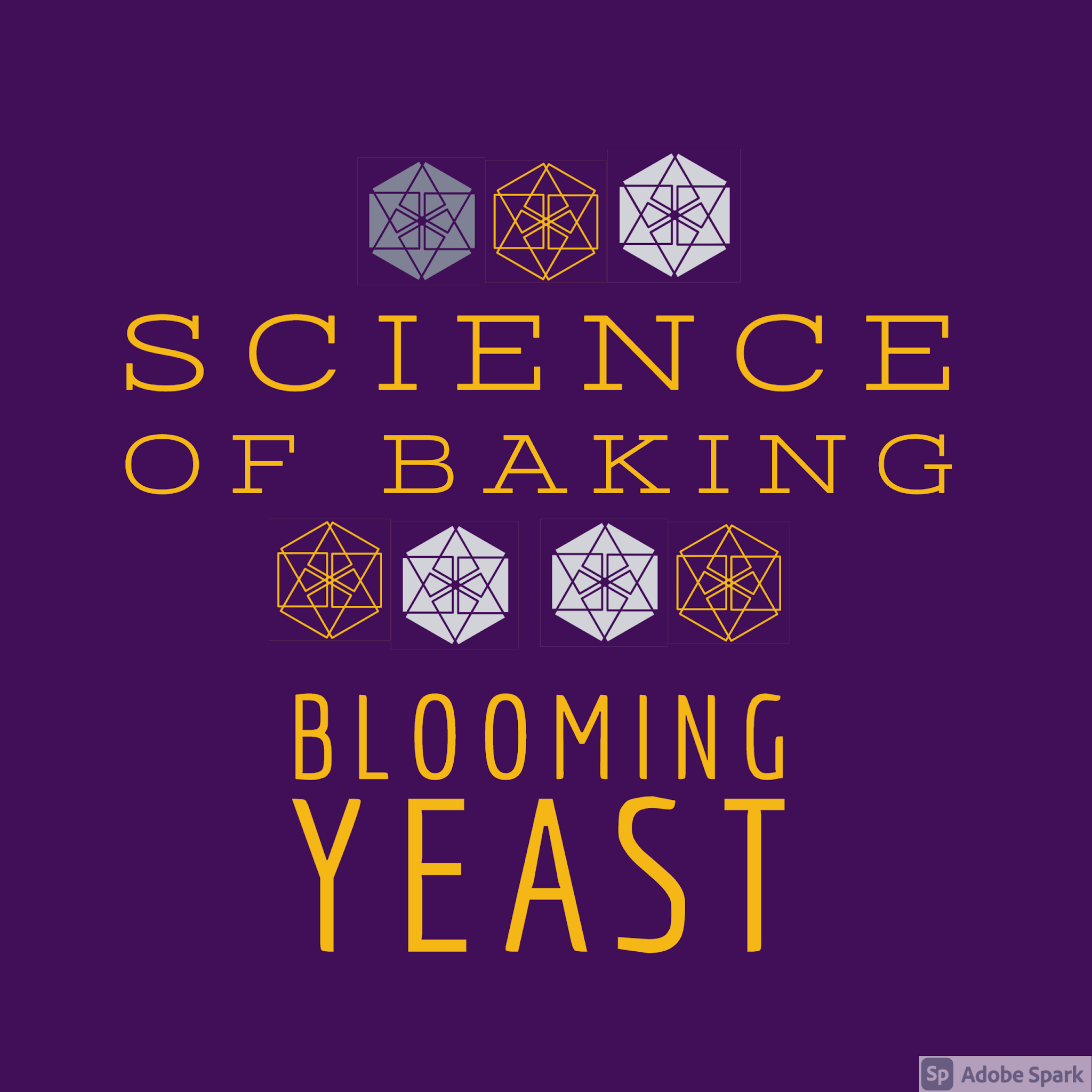 BLOOMING YEAST History, Definition and Fermentation