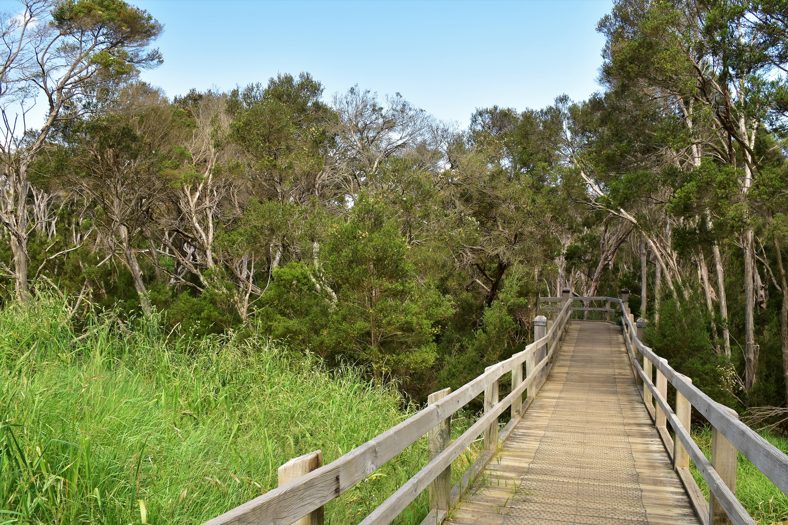 Goin' Feral One Day At A Time Moorooduc Quarry Walk, Moorooduc Quarry