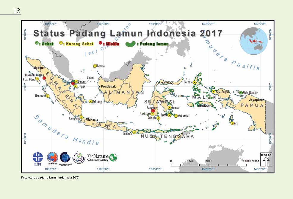 Ta Selamatkan Lamun Sebelum Manyun
