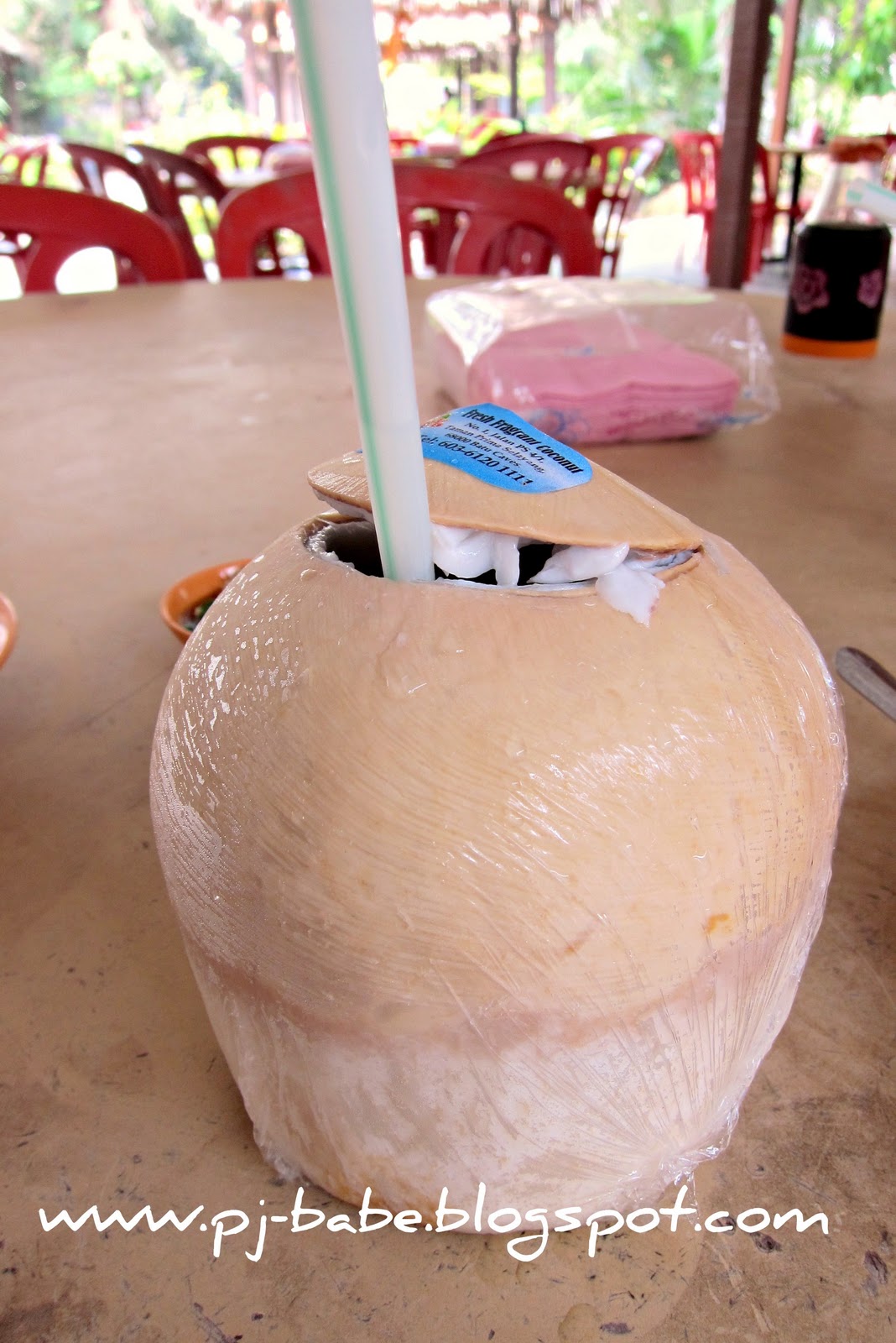 Coconut Flower Seafood Restaurant PJ Babe