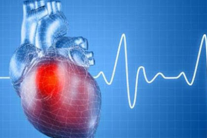 Artikel Kesehatan SehatQ.com Seputar Penyebab Jantung Koroner