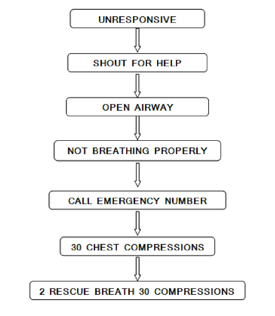 ALGORITHM OF CPR , what are the BLS (basic life support) steps used for adults