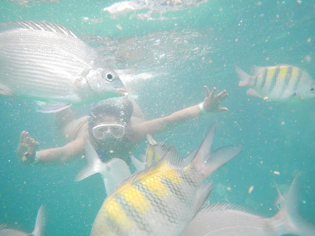 Mergulho na Lagoa Azul, Angra dos Reis