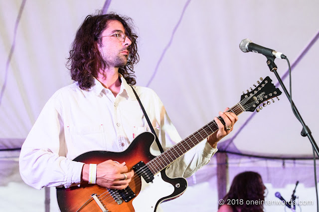 Anemone at Hillside 2018 on July 14, 2018 Photo by John Ordean at One In Ten Words oneintenwords.com toronto indie alternative live music blog concert photography pictures photos