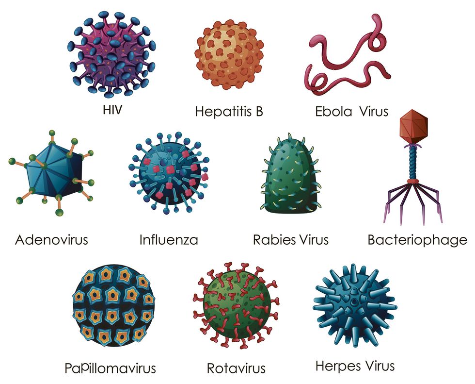 BLOG DE CIENCIA Y TECNOLOGÍA PARA LA VIDA 2021 SEMANA 4 EL MUNDO