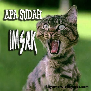 26 Gambar Lucu Lagi Marah Istimewa