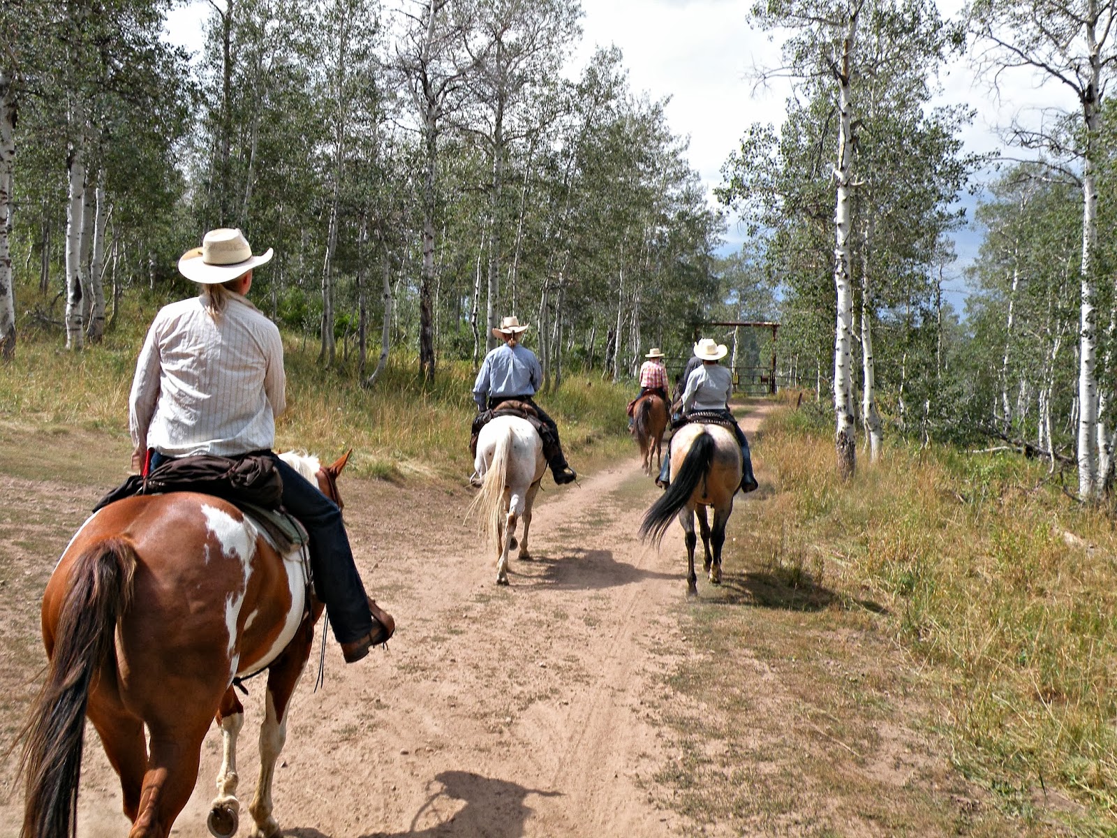 Dream Packer Trail Adventures: Monte Cristo, Utah, Lightning Ridge