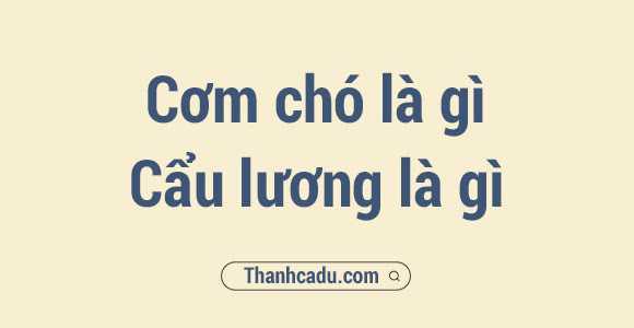 Cơm chó là gì? Cẩu lương có nghĩa là gì trên Facebook