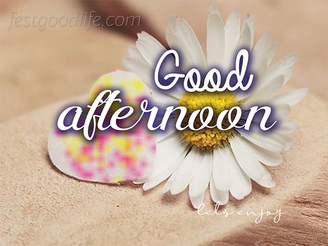 Good after noon pics status morning images