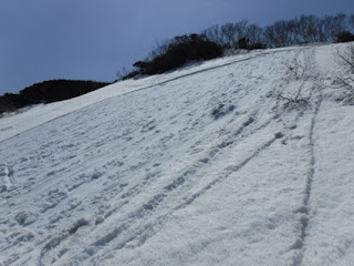 カール状地形で表層雪崩発生。