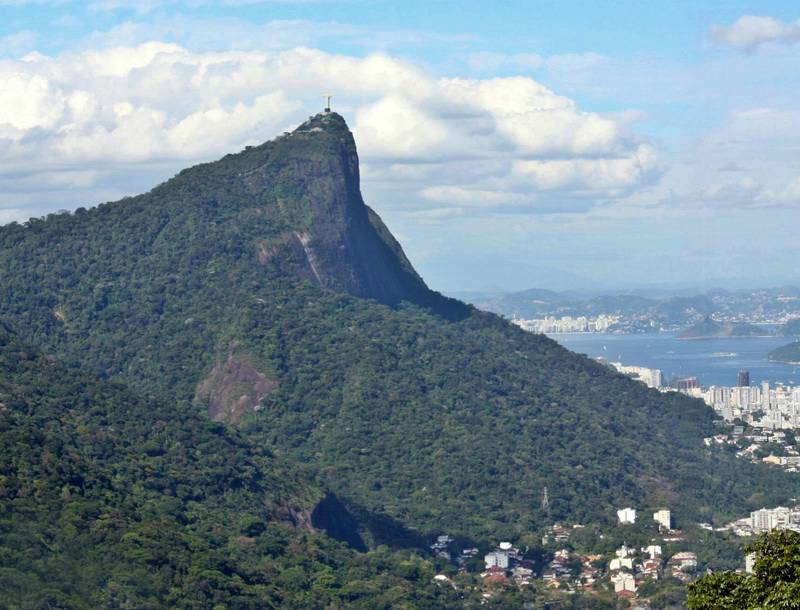 Tijuca Forest National Park, Brazil (with Map & Photos)