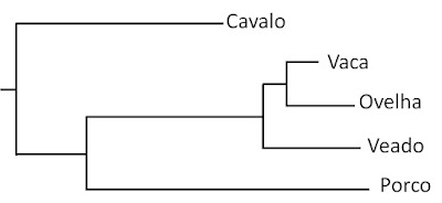 QUESTÕES DO ENEM - EVOLUÇÃO