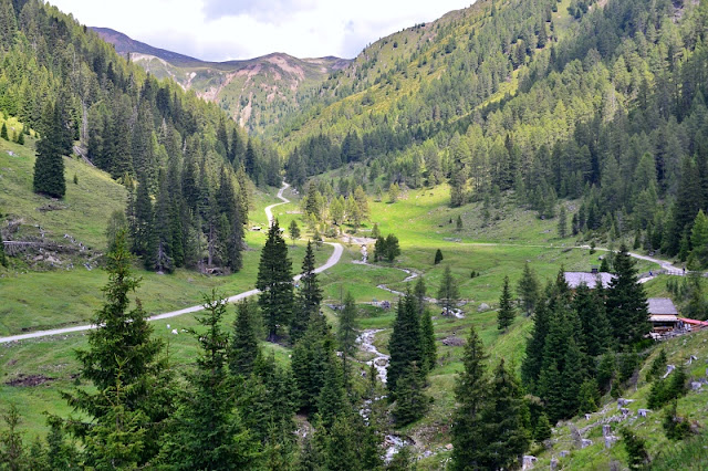 Come raggiungere Malga San Silvestro da Dobbiaco Itinerari low cost