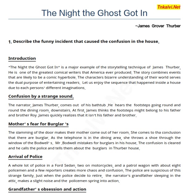 the night the ghost got in essay