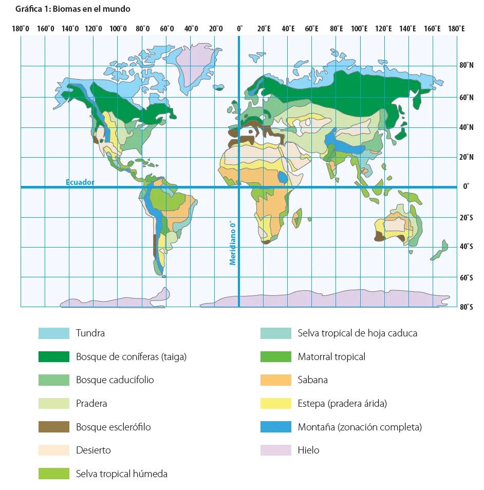 Taller Biomas del mundo