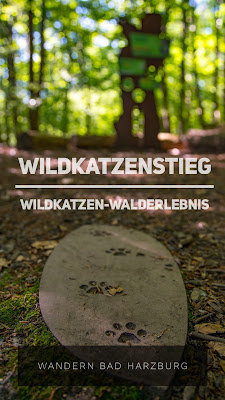 Wildkatzen-Walderlebnis und Wildkatzenstieg zum Wildkatzengehege Bad Harzburg