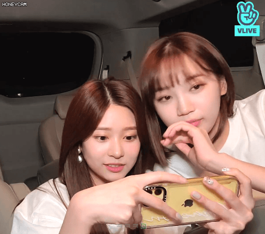 민주 채원