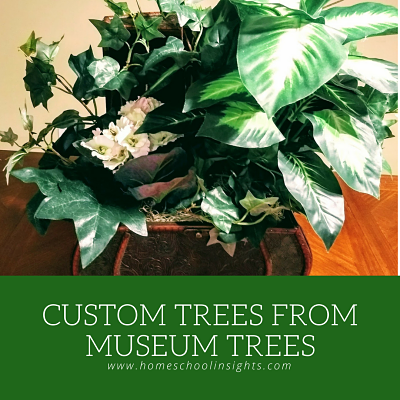 Museum Trees