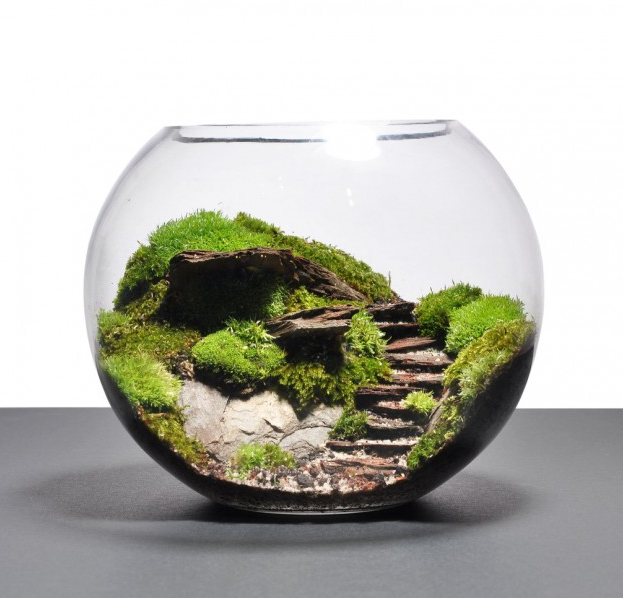 MINIATURE TERRARIUMS MASTERPIECES MINIATURE TERRARIUMS MASTERPIECES