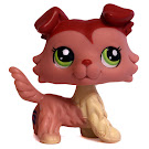 Littlest Pet Shop Multi Pack Collie (#1723) Pet