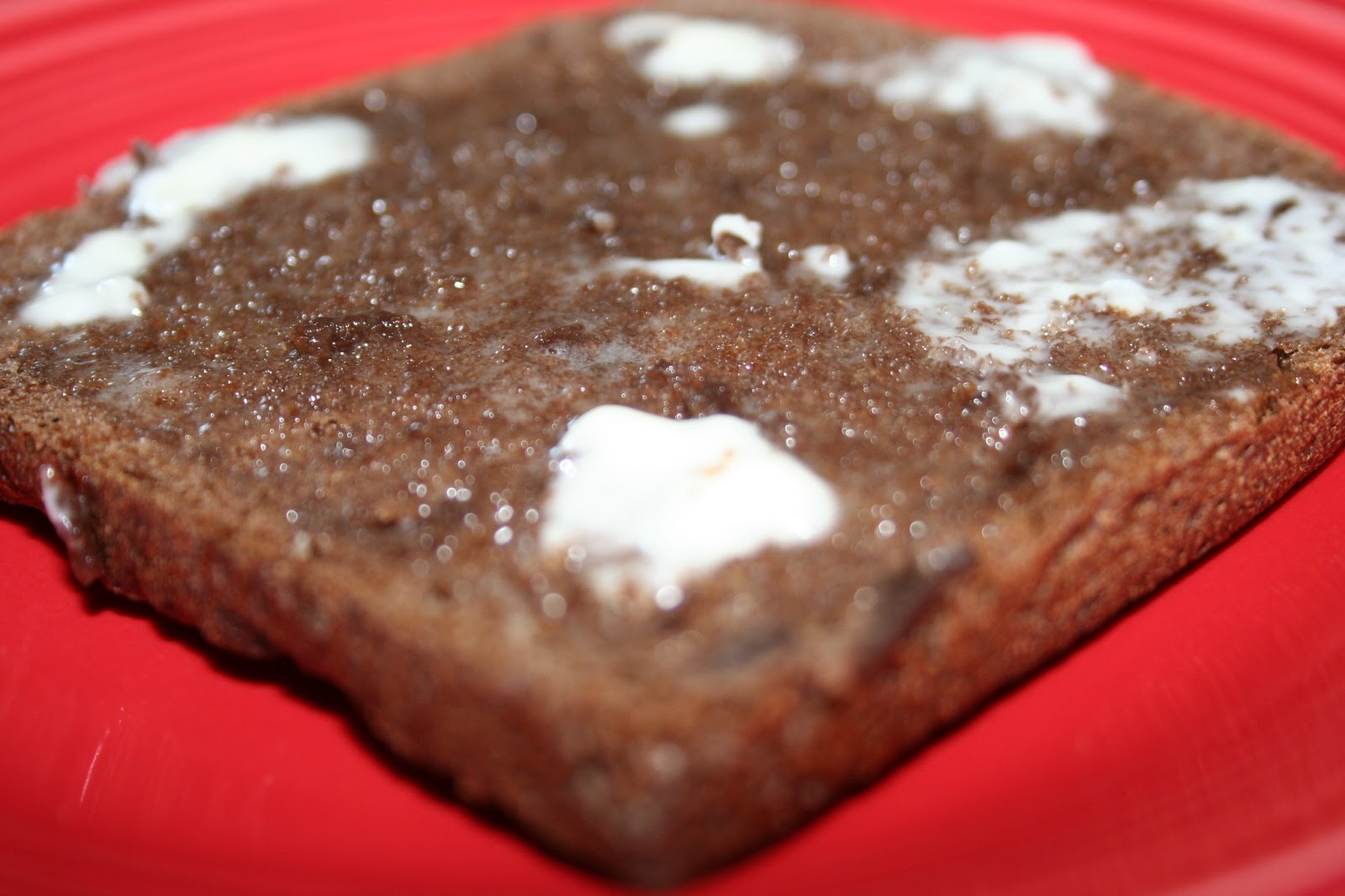 Tricia's Simply Tasteful Recipes German Dark Rye Bread