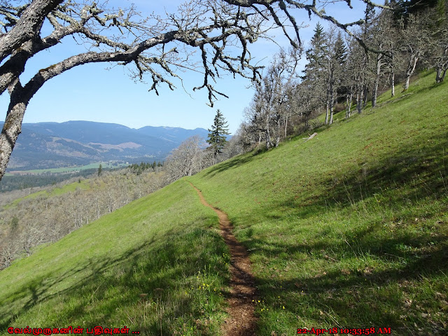 Weldon Wagon Road Trail