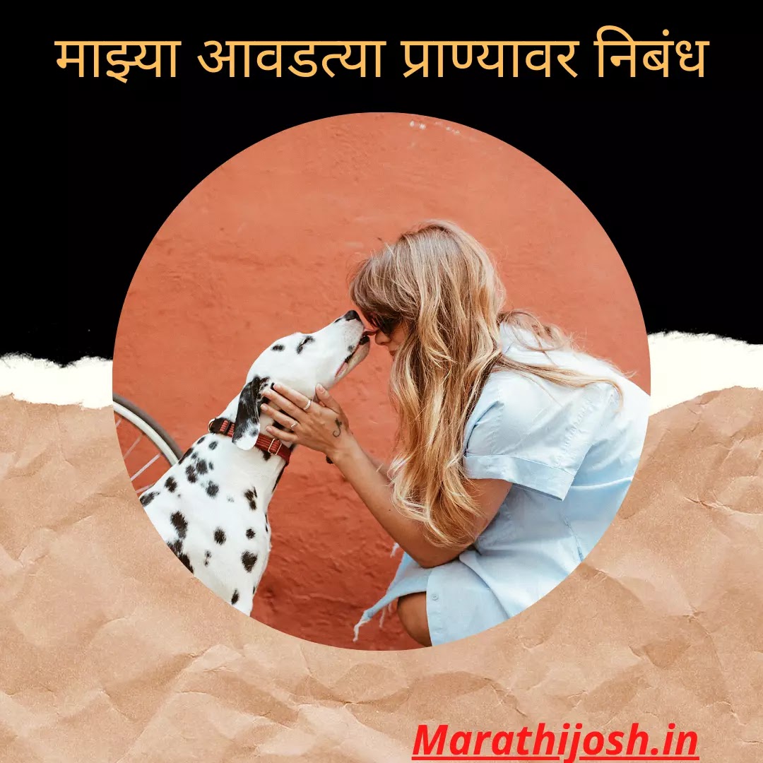 my favourite animal cow marathi essay