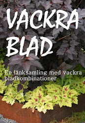 Vackra blad, länksamling