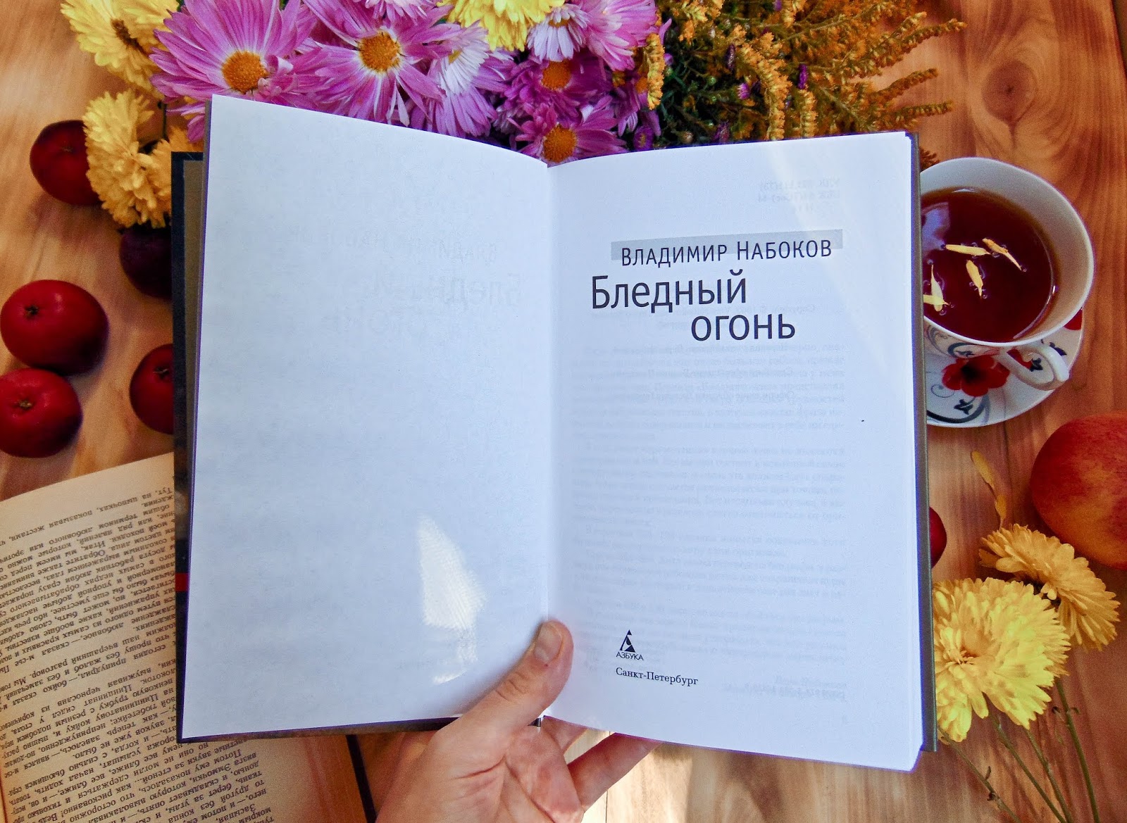 владимир набоков бледный огонь. роман бледный огонь владимира набокова. набоков бледный огонь читать. набоков бледный огонь книга. владимир набоков бледное пламя.