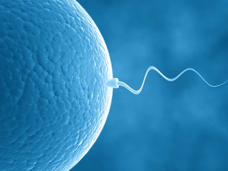 much is sperm How Random Photo Gallery Big boob anemia