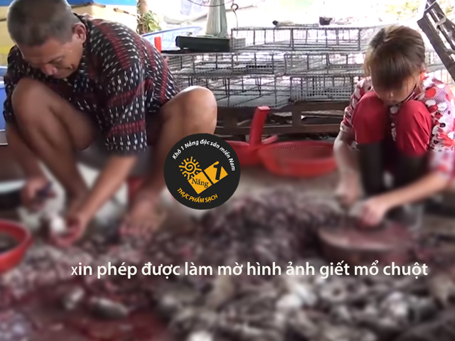 Mùa đi săn chuột đồng miền tây