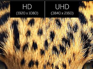 Perbedaan 30Fps Vs 60 Fps Pada Video Recording Dan Mana Yang Paling Cantik?