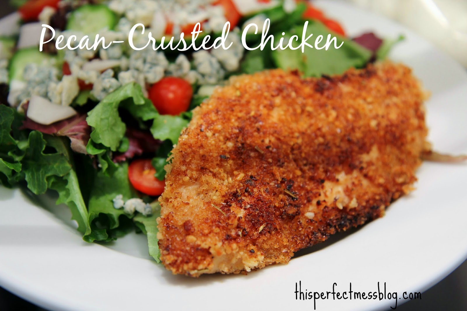 This Perfect Mess: Pecan-Crusted Chicken {Freezer Meal}