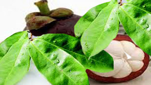 Cara mengobati kanker payudara yang sudah pecah - Fahmy Ramdani