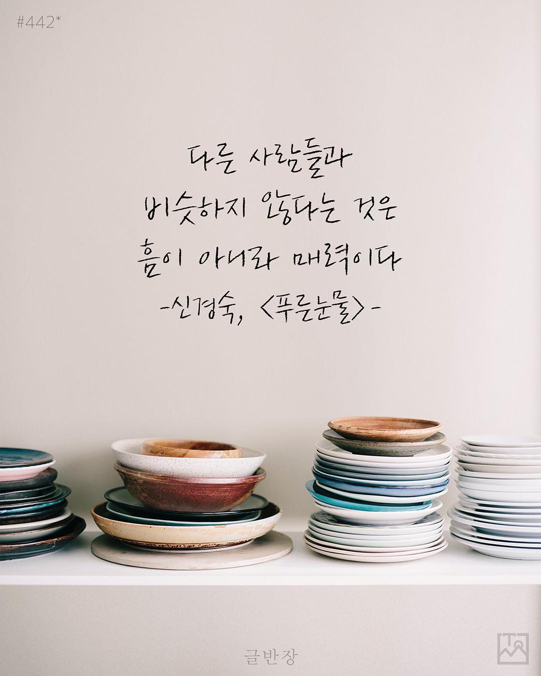 흠이 아니라 매력이다 - 신경숙, <푸른눈물>