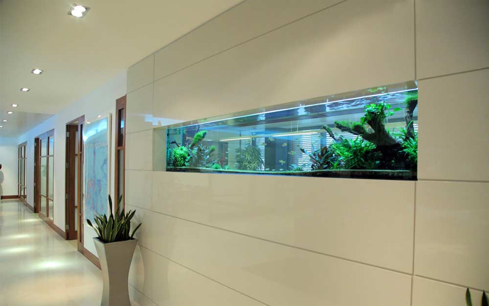 How to make wall aquarium and wall fish tank DIY