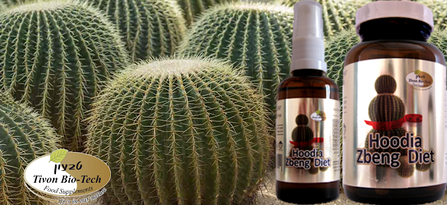 קקטוסים מרזים ומורידים ממשקל