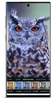 تطبيق تعديل الصور للاندرويد, تحميل برنامج أدوب فوتوشوب للاندرويد, برنامج Adobe Photoshop Express لإضافة مؤثرات على الصور للاندرويد, تحميل برنامج Adobe Photoshop Express للاندرويد, برنامج تحسين جودة الصور للاندرويد, تحميل Adobe Photoshop Express اندرويد, برنامج الكتابه على الصور للاندرويد