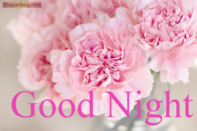Good Night Beautiful Flowers HD Images Good Night Beautiful Flowers HD Images