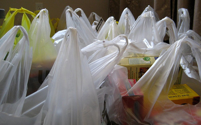 Jeri’s Organizing & Decluttering News: Plastic Grocery Bags Put to Good