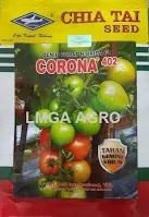 Benih tomat, Tanaman tomat, Tomat Corona F1, Corona F1, Bisi, Bisi International, Kapal Terbang, Harga Diskon, Harga murah, LMGA AGRO