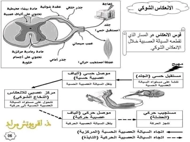 ملخصات دروس مادة علوم الحياة والارض للسنة الثالثة اعدادي.